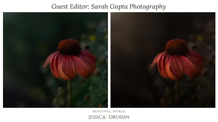 Guest Artist Sarah Gupta Fine Art Tutorial Video (...