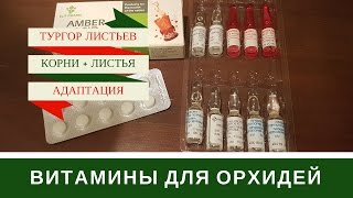 Витамины Для Орхидей + Витаминные Коктейли Витамины Для Орхидей + Витаминные Коктейли