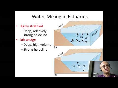 Video: Estuārā ūdens sāļums palielinās kā?