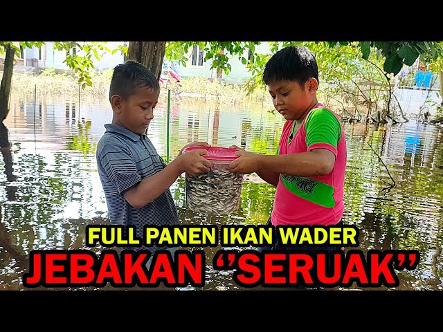 PERANGKAP IKAN WADER 100% JITU || HASILNYA LUAR BIASA class=