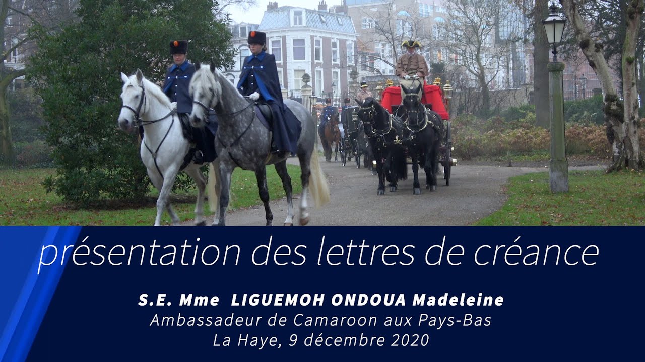 Présentation des lettres de créance du nouvel ambassadeur de Camaroun aux Pays Bas