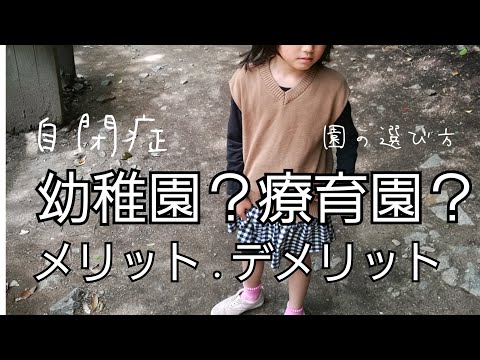 【自閉症.知的中】幼稚園or療育園？メリット.デメリット