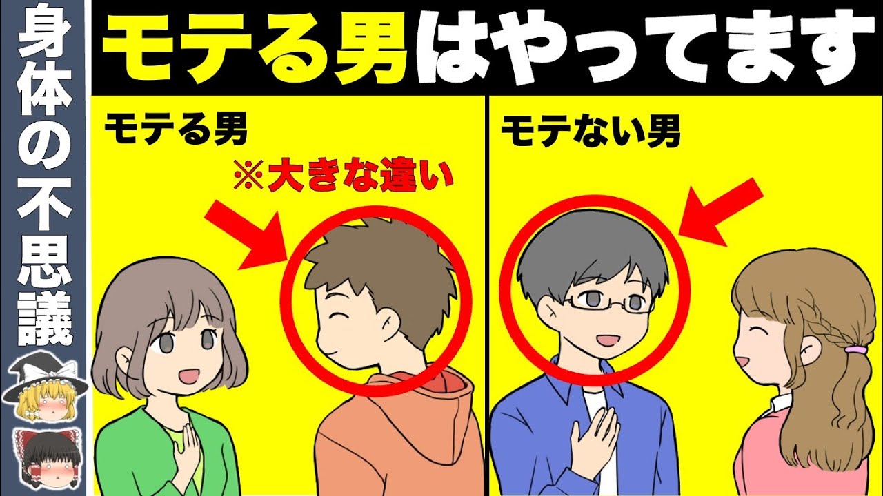モテる男はやってます！不思議とモテる男の特徴7選【ゆっくり解説】