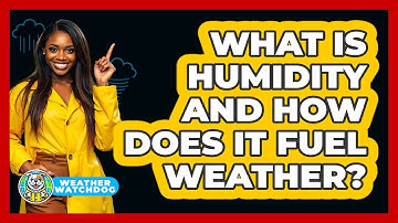 What Is Humidity And How Does It Fuel Weather? - Weather Watchdog