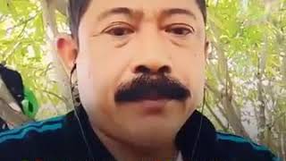 Download Lagu Ora ISO mule by Om kumis MP3 Download Lagu Ora ISO mule by Om kumis MP3