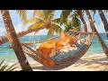 Summer Cat Jazz Vibes ☀️ Sunny Lofi Mix 🐾 Relaxing Music