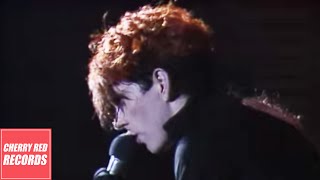 Video thumbnail of "Thompson Twins - In The Name Of Love - (Live at the Royal Court Theatre, Liverpool, UK, 1986)"