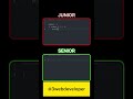 Python coding web design graphics design java python coding web design graphics