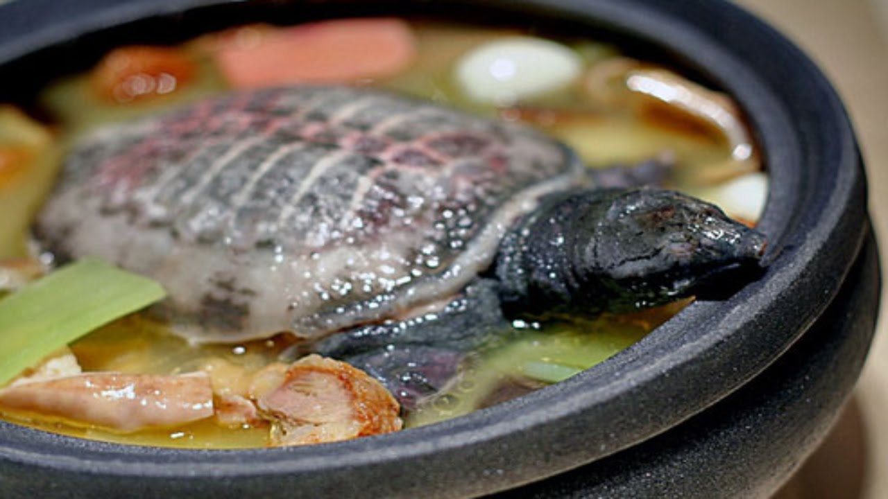 Asian Khmer Food Cambodian Street Food Turtle soup