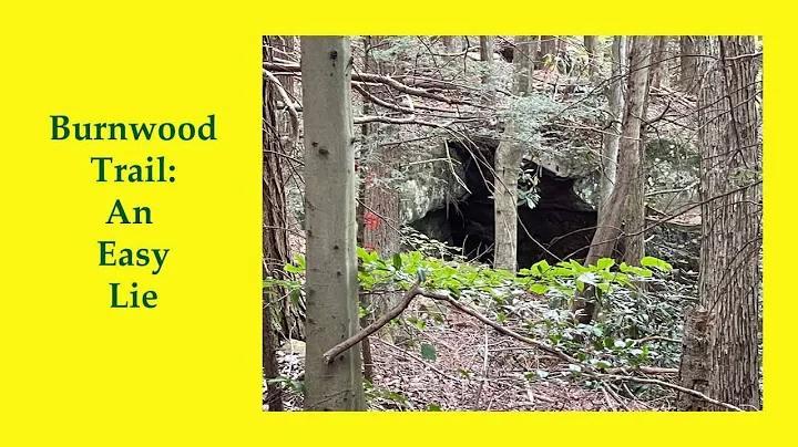 Burnwood Loop Trail // New River Gorge National Park //  Hiking in West Virginia