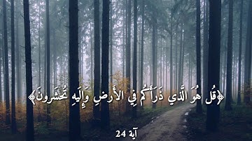 قرآن كريم بصوت القارئ: ماهر المعيقلي || أجمل حالات واتس اب دينيه || تلاوة خاشعة 🌿