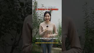 부동산 폭락전 나타나는 신호 #부동산 #절세 #세금 #부동산세금 #세무사 #경영 #비지니스