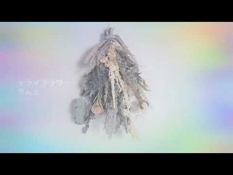 ドライフラワー/優里「ちょっと歌ってみた」covered by りんと