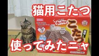 【マルカン猫用こたつL】多頭飼いでもOK？温度は？徹底レビューしました！