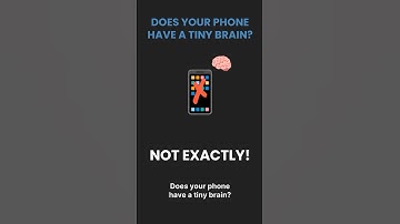 How to Teach a Robot (and Why It Matters)