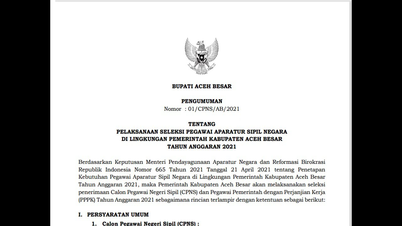 formasi cpns kab Aceh Besar tahun 2021 YouTube
