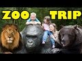 Zoo Animals - Cute Animals - Funny Animals - An Amazing Zoo Trip