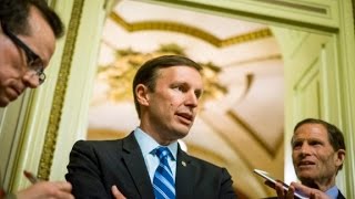 Democrats expect gun control votes after filibuster