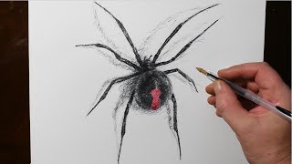 amazing 3d spider drawing