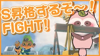 【Splatoon3】【A帯エリア/チョウザメ・マテガイ】目指せS昇格戦～！いっちに、さーんし！