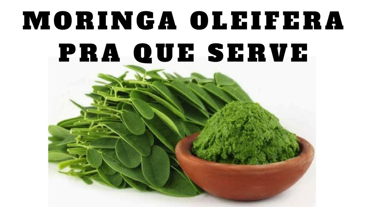 Cha Da Moringa Ou Capsulas Youtube