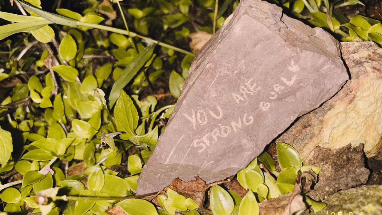 A long walk during monsoon 🫠