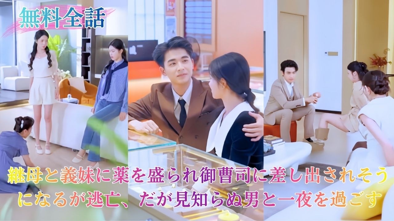 継母と義妹に薬を盛られ御曹司に差し出されそうになるが逃走。だが見知らぬ男と一夜を共にする。捨てられると思いきや、彼は大金を出して即結婚。「一生そばにいろ」と告げる。