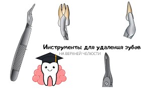 картинка: Инструменты (щипцы) для удаления зубов на верхней челюсти. Признаки щипцов.