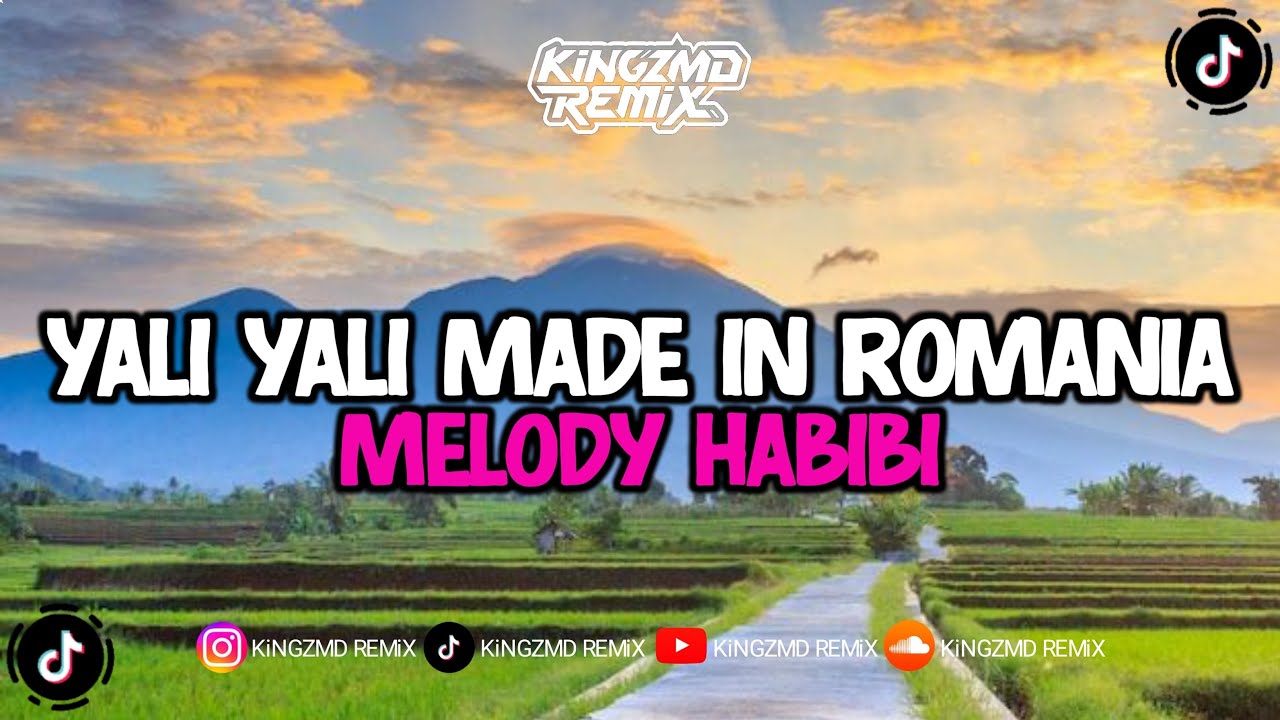 DJ YALI YALI MADE IN ROMANIA X MELODY HABIBI JEDAG JEDUG MENGKANE VIRAL TIKTOK 2025 !!