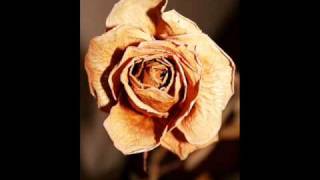 Dönülmez Akşamın Ufkundayız - Suzan Makaracı -