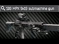 Sig mpx 9x19 with echo1 new thermal