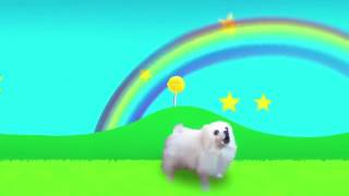 Gabe the dog 🐕 screenshot 1