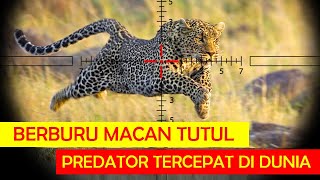 BERBURU MACAN TUTUL TERGANAS DI AFRIKA