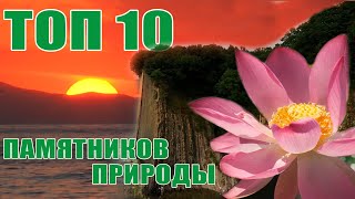 Главные природные достопримечательности Краснодарского края. ТОП-ТОП 10