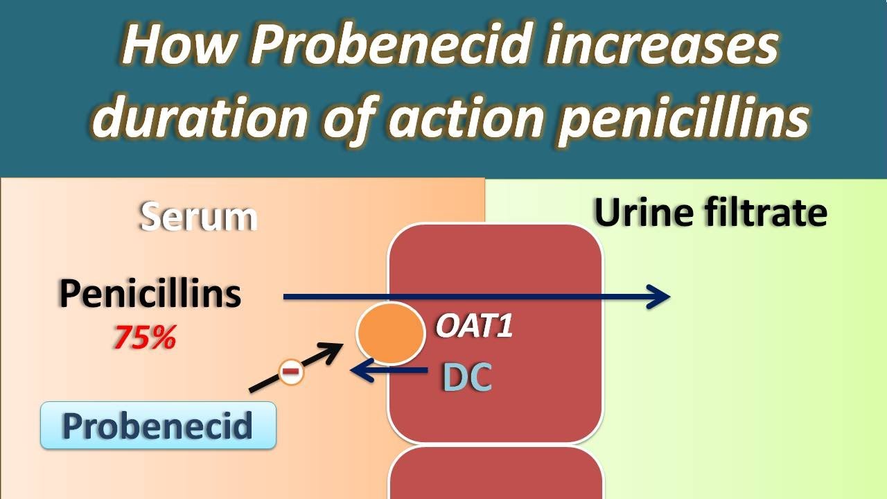 Penicillin G Mechanism Of Action