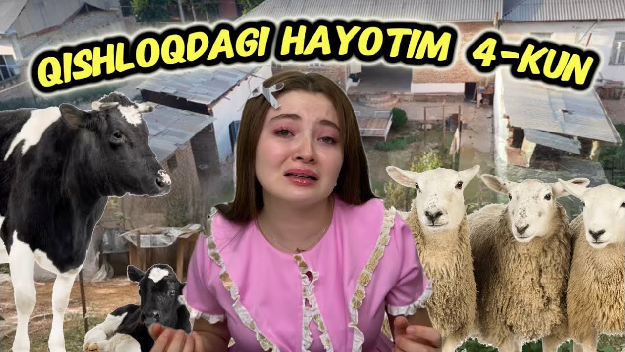 Qishloq hayoti da 5 kun-Кишлок хайоти да 5 кун