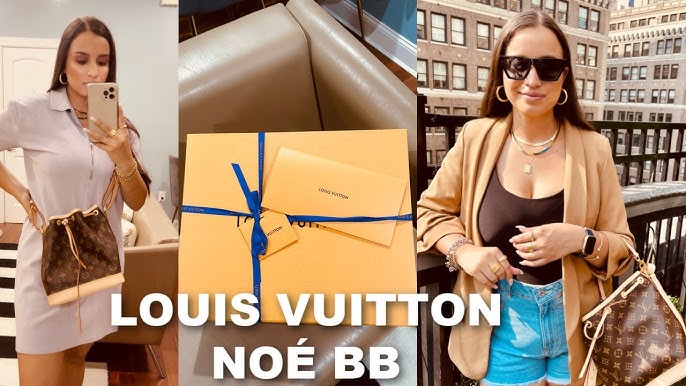 REAL VS REPLICA - Louis Vuitton Nano Noé Bucket Bag