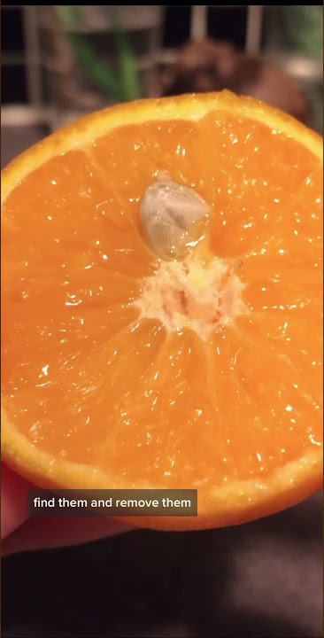 Grow Oranges at Home