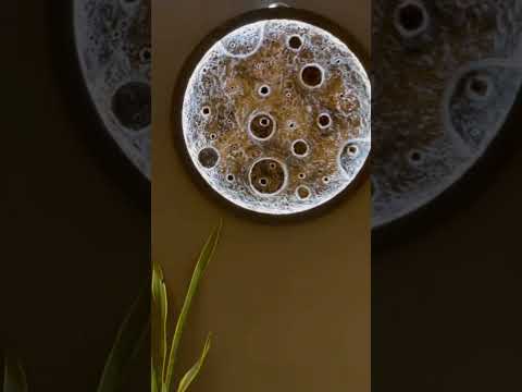 09116882558سجادوطنی ویلاانزلی اجاره روزانه درتمام نقاط انزلی ویلاهای فول تماس پاسخگوهستم رشت ویلا