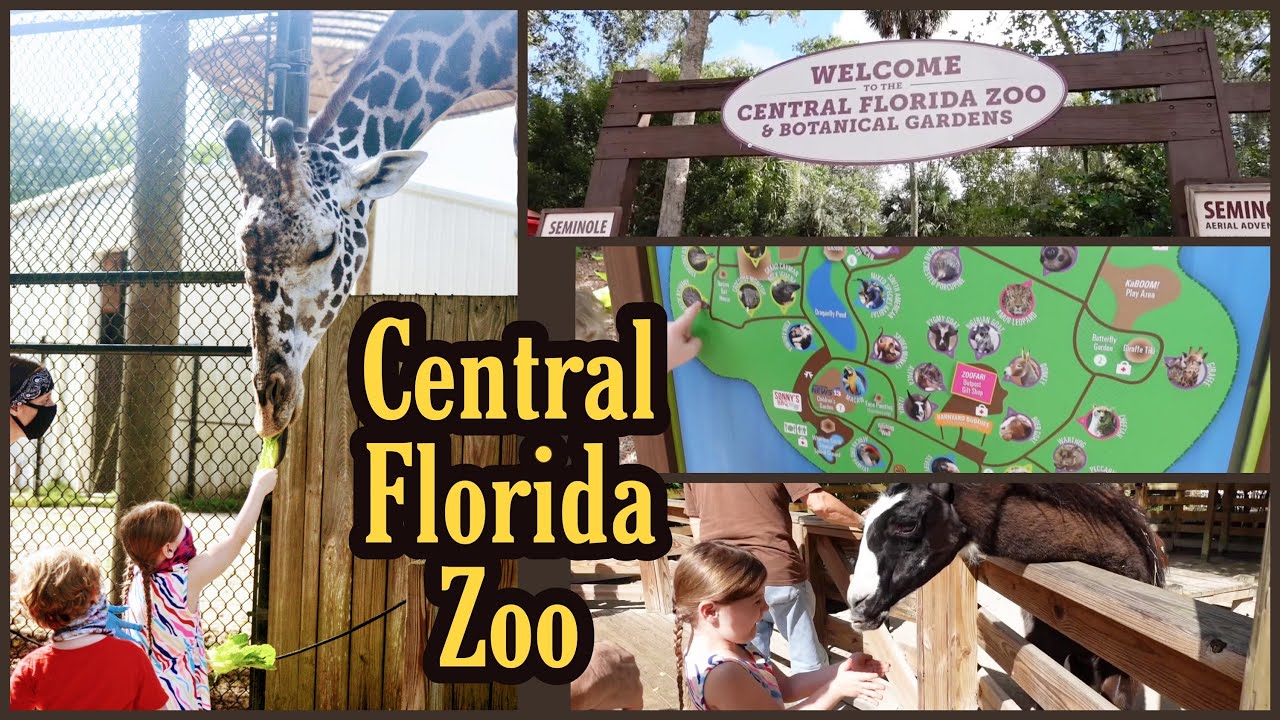 Central Florida Zoo All the Animals at the Central Florida Zoo