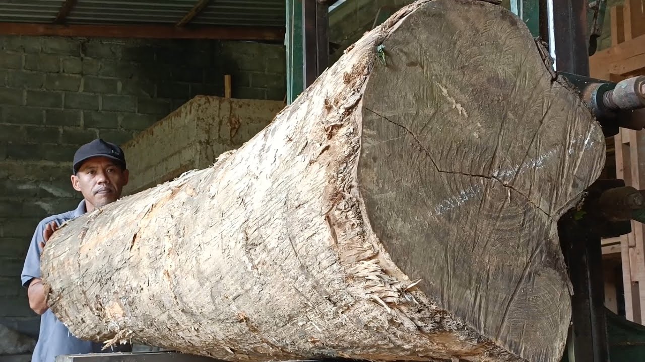 Sawing large logs to turn them into slabs