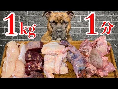 【大食い犬ASMR】山盛り生肉を1分で飲み干す愛犬www