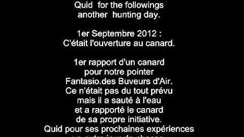 FantasioRetrieving a duck 1stSept12