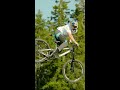 Do whips get any better than this?