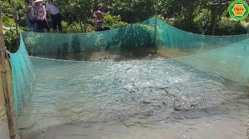 Di du lich Miet  vuon Con Son Can Tho