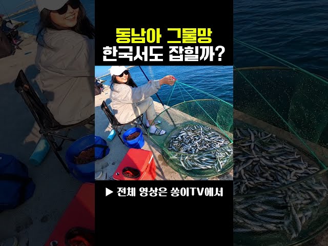 동남아 전통 어구로 한국 방파제에서 던졌더니...