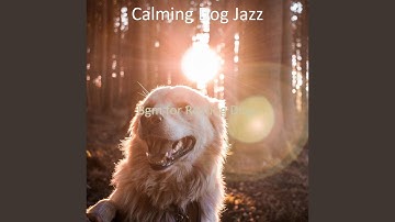 Pulsating Background for Keeping Dogs Entertained