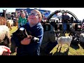 He was SOO EXCITED! | 2022 Okie Homesteading Expo