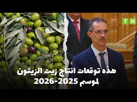 وزير الفلاحة هذه توقعات انتاج زيت الزيتون لموسم 2025 2026