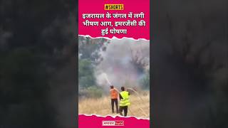 Israel Ki Jungle Me Layegi Aag Viral Shots Video Trending Safar